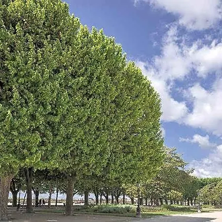 Apartmán Terrasse De La Canourgue - Premiere Conciergerie Montpellier
